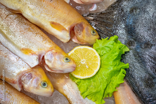 Fish shop window. Several v...