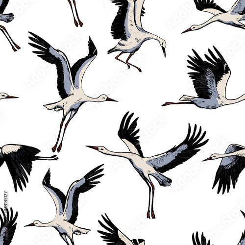 Hand drawn vector seamless pattern of beautiful flying storks. Realistic ink wild birds cranes background. Vintage colorful wallpaper. Gentle surface design for wrap  textile  postcard  print  fabric.