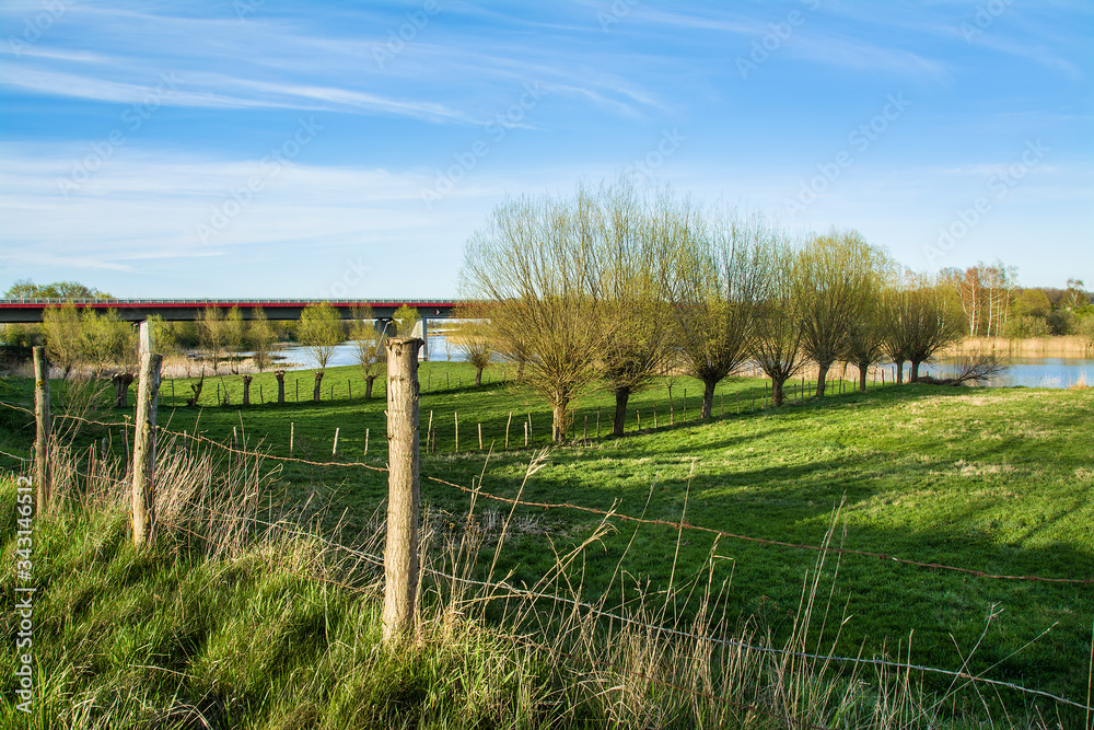 green meadow and trees, beautiful spring landscape