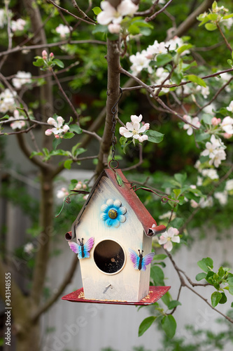 Cute birdhouse hanging on a branch of a blossoming fruit tree. garden background. vertical image.