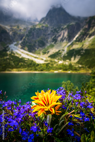 Fototapeta Naklejka Na Ścianę i Meble -  Mountain cottage at the Zelene pleso (Green lake)