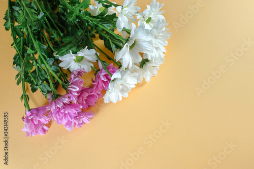 Bouquet of chrysanthemums on a beige background with copy space. View from above.