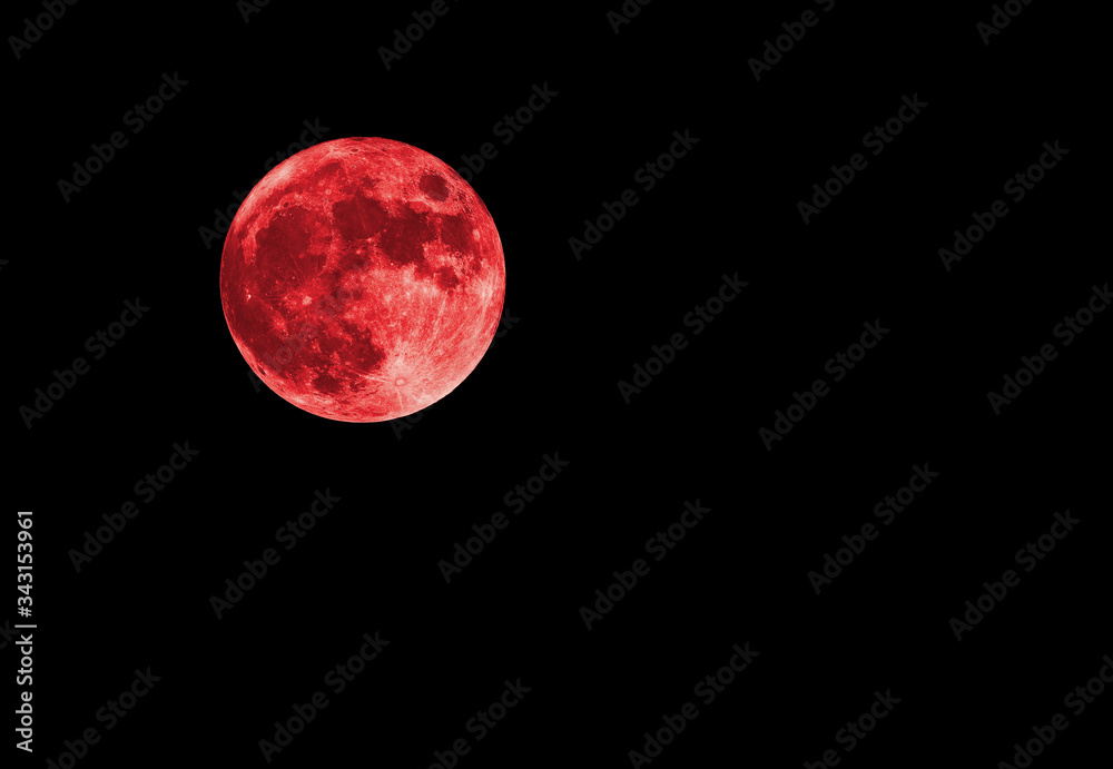 Obraz premium Red bloody moon on black sky as background, full moon
