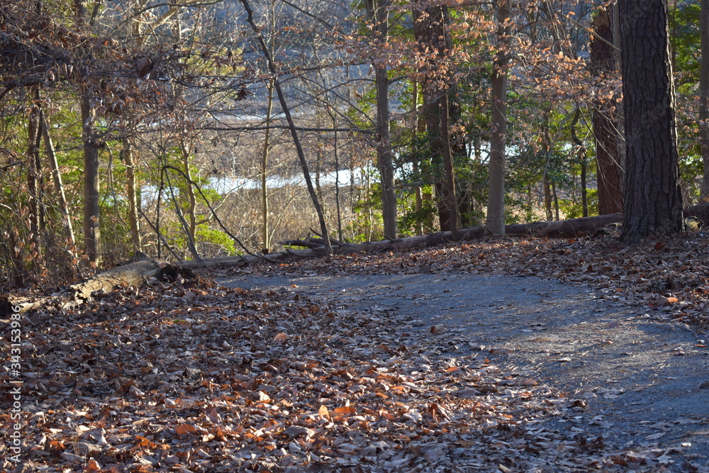 Path with leafs on it in the woods Path with leafs on it in the woods