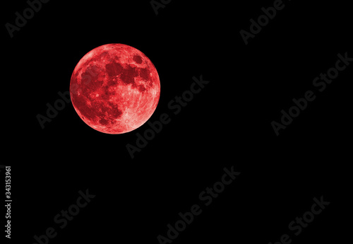 Red bloody moon on black sky as background, full moon  © Savvapanf Photo ©