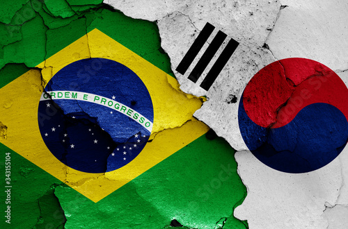 flags of Brazil and South Korea painted on cracked wall