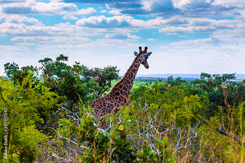 Exotic journey to the South Africa