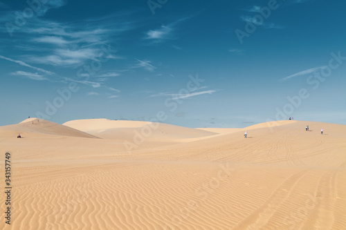 Many people walk in the desert, view from the back, copy space.