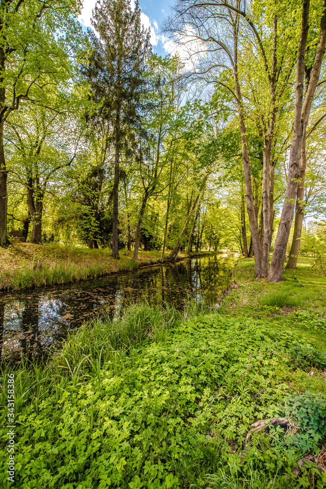 A day in the Spreewald A day in the Spreewald