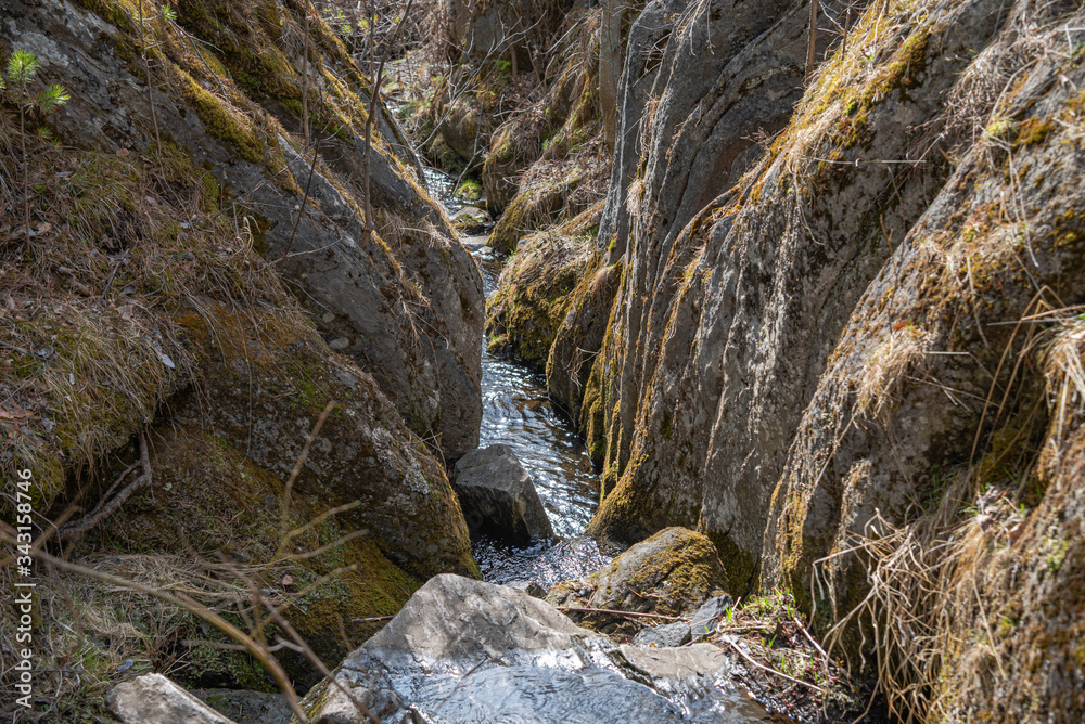 Mountain river in the gorg Mountain river in the gorg