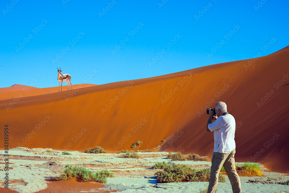 Tourist photographs an impala on the dune