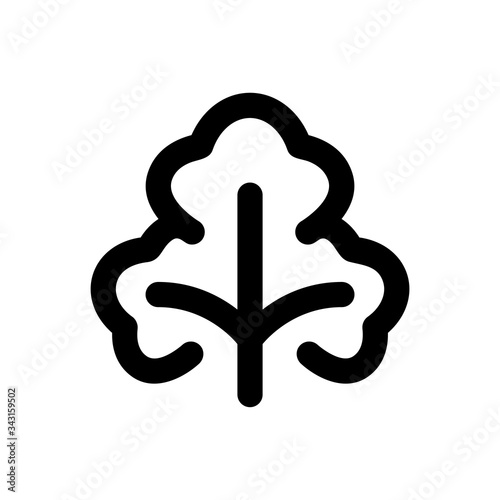 Parsley Icon