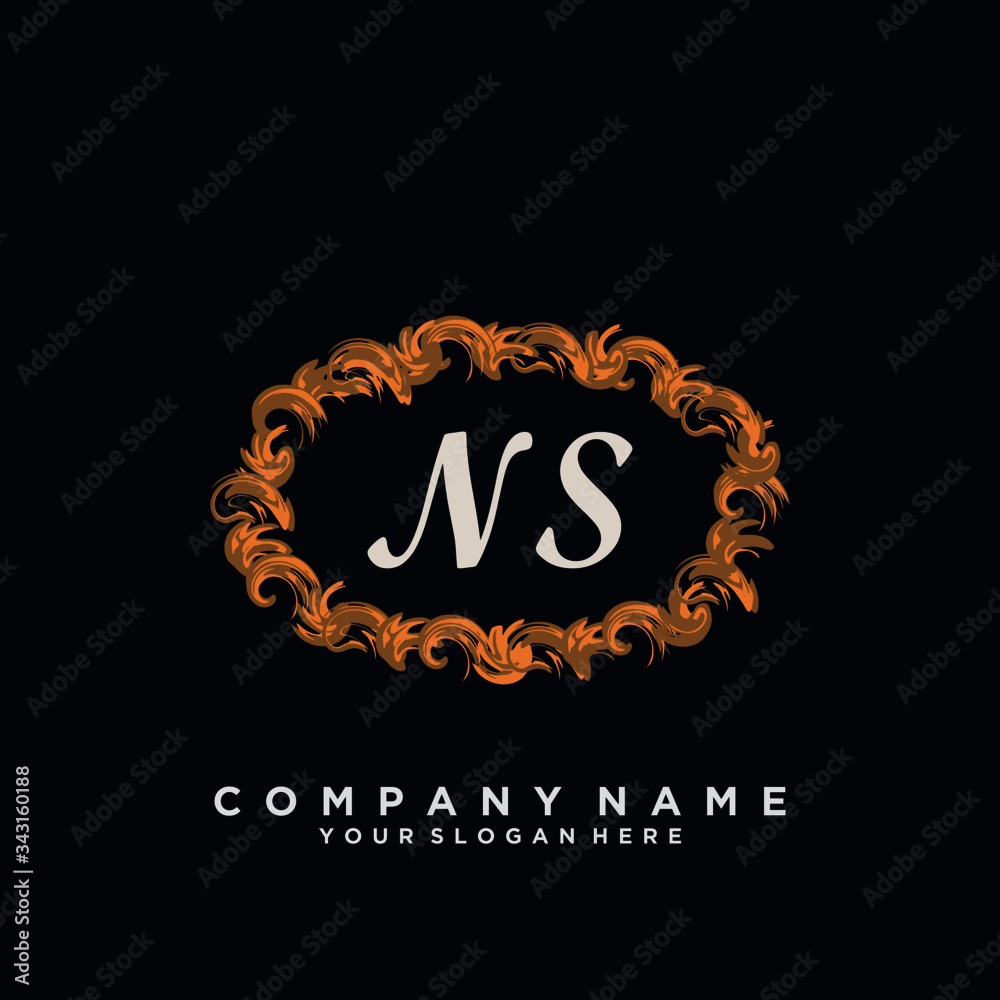 Initial Letter NS Logo With circle Template Vector