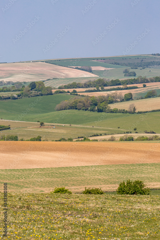 A patchwork landscape in the South Downs in Sussex