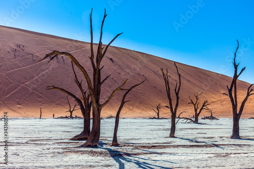 Brown dunes and ringing silence photo