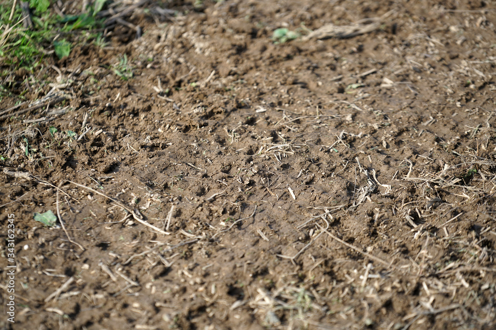 soil soil