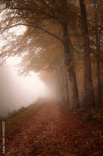 Automne
