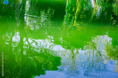 Reflection in water. contours of green trees or shrubs are reflected in clear water. Ripples and small waves on the surface of a lake or pond. Sunny day. Copy space. Selective focus. Summer backdrop.