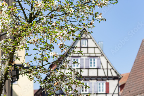 facades of historical framework buildings © rudolfgeiger