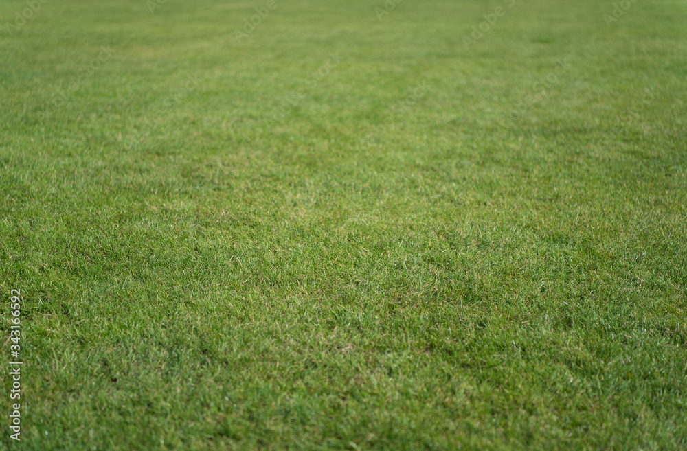 Green grass background. Grass lawn texture. Soccer or golf grass field. Grass land. Grassy turf. Sports pitch Green grass background. Grass lawn texture. Soccer or golf grass field. Grass land. Grassy turf. Sports pitch