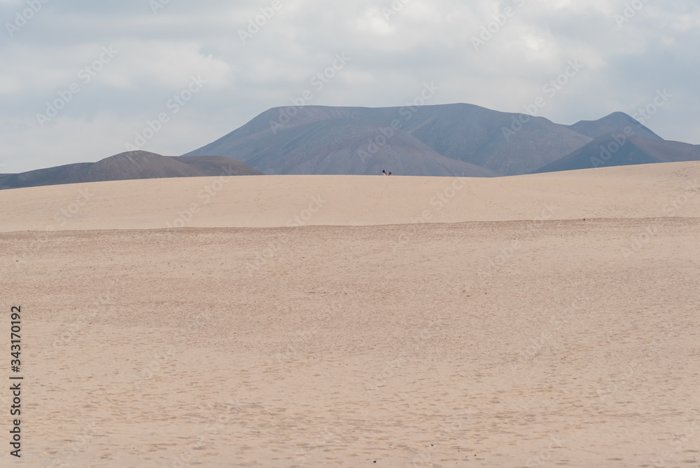 panorama island fuerteventura island in the desert