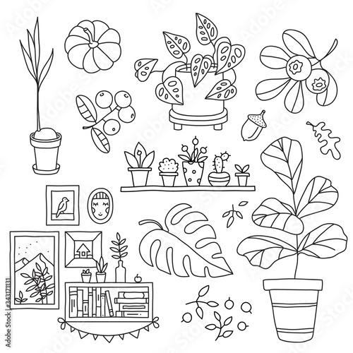 Coloring book.