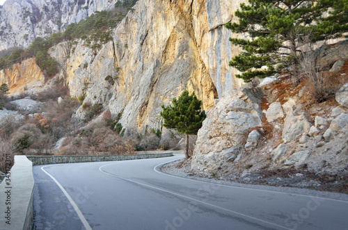 Paved road and landscape among green trees in the mountains. Beautiful landscape.