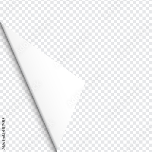 Curled corner of paper on transparent background with soft shadows, realistic paper page mock up.