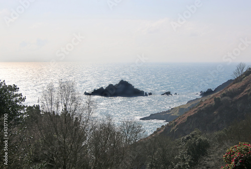 Mewstone off the South Devon coast photo