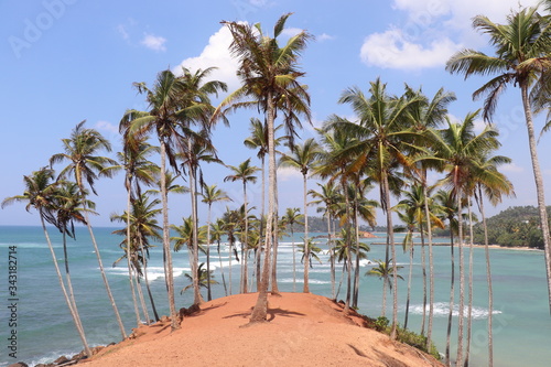 Coconut Hill Mirissa Sri Lanka