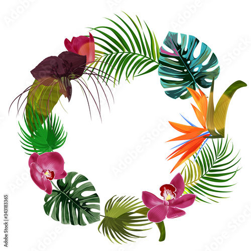 Bright Tropical plants frame. Exotic leaves and flowers with sunny bokeh effect.