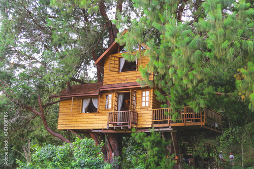 Tree House in the florest
