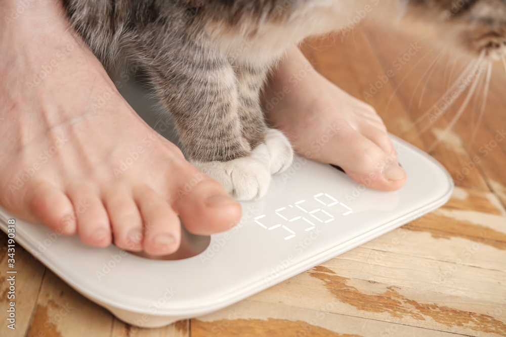 Φωτογραφία Bare feet and paws of a cat are standing on smart scales that makes bioelectric impedance analysis, BIA, body fat measurement