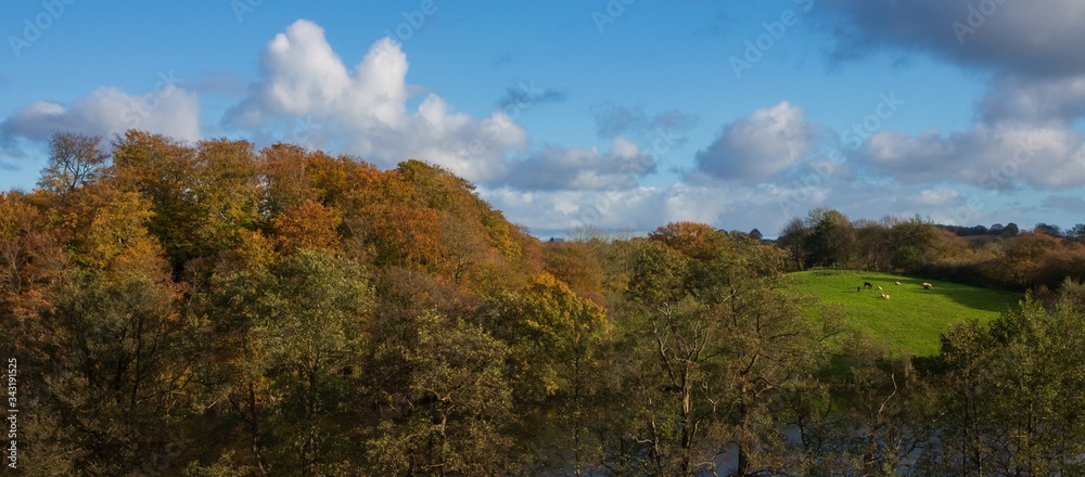 panoramic view to colorful autumn landscape with soft hills and woods