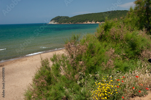 spiaggia vista mare con cespugli fioriti