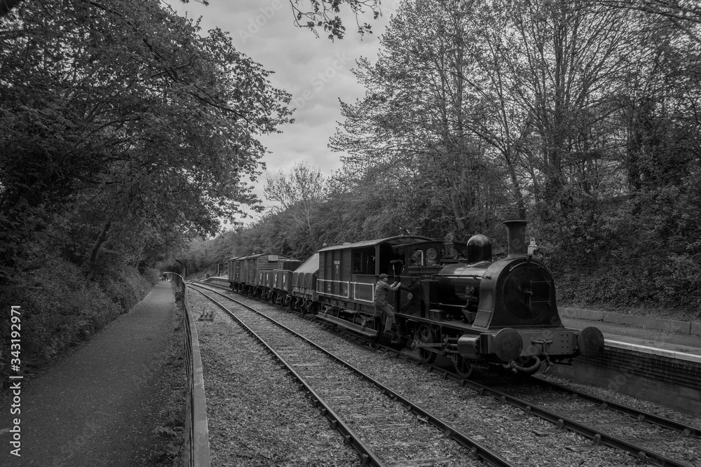 Fototapeta premium old train in the forest black and white