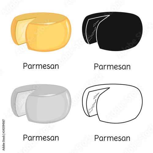 Vector illustration of cheese and parmesan symbol. Graphic of cheese and slice vector icon for stock.