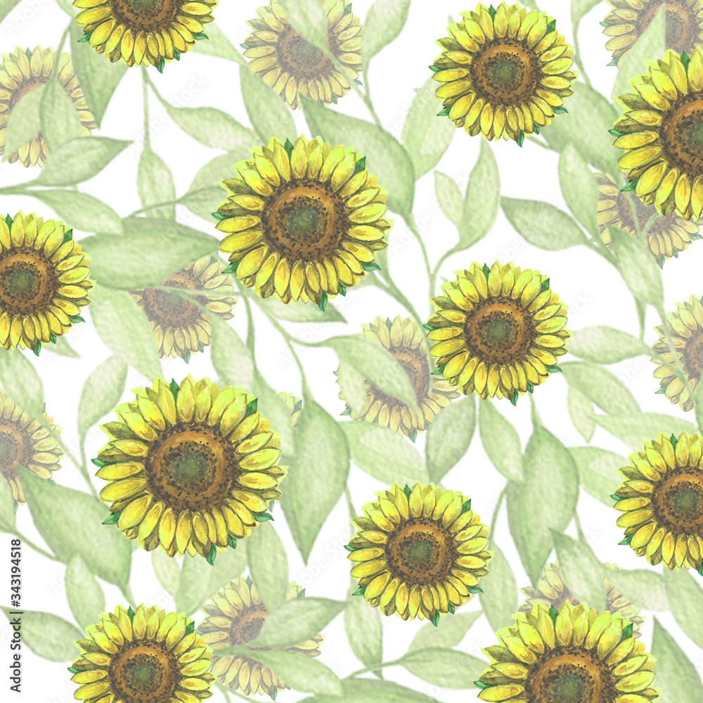Watercolor painting summer pattern with sunflowers  on a white background.