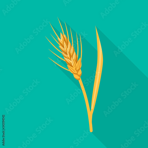 Vector design of barley and sheaf symbol. Collection of barley and crop stock symbol for web.