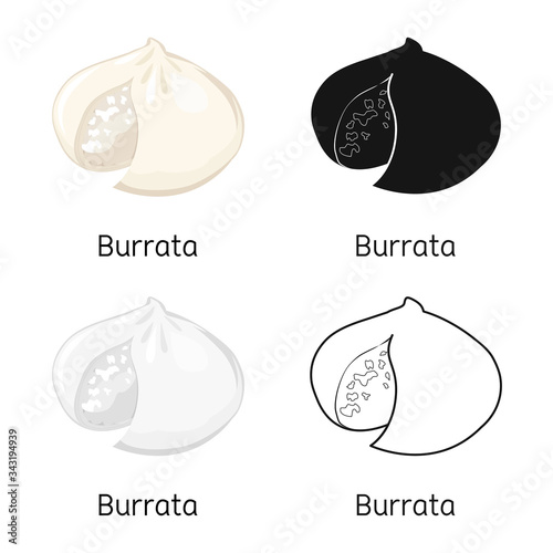 Vector design of cheese and burrata icon. Graphic of cheese and meal stock vector illustration.