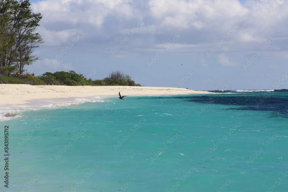 Fototapeta premium tropical beach with palm trees and blue sky
