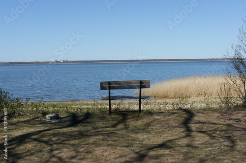 bench on the beach © viktoria17