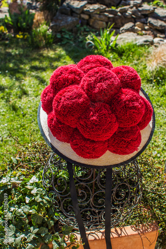 Garten im Schwarzwald mit Bollenhut