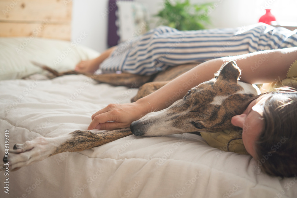 Woman and dog in the bedroom Woman and dog in the bedroom