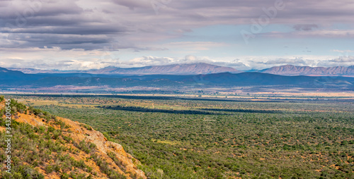 South African wild landscape with pure nature during summer time