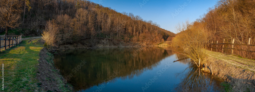landscape of lake near forest