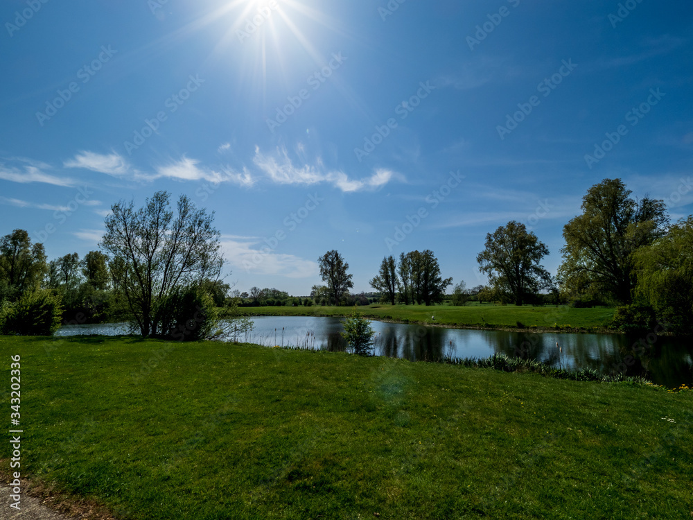 LANDSCAPE BLUE SKY AND TREES WIT NO PEOPLE 