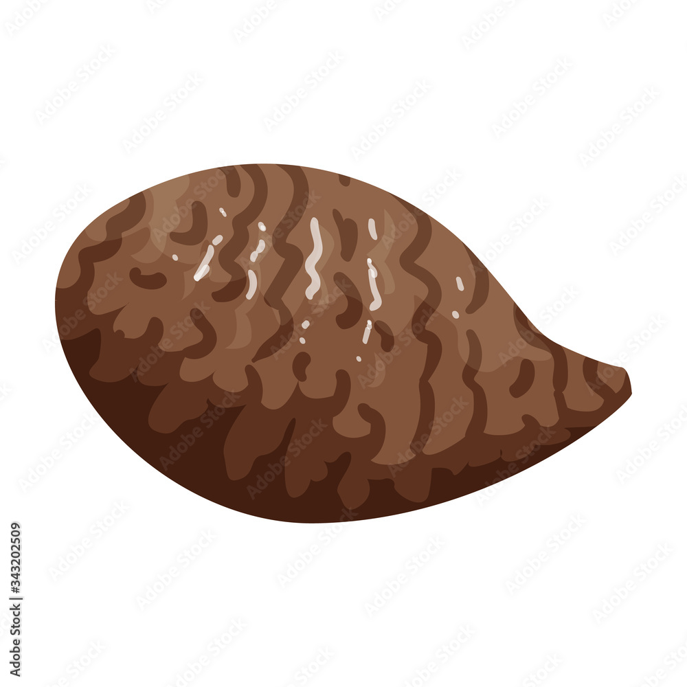 Oyster vector icon.Cartoon vector icon isolated on white background oyster. Oyster vector icon.Cartoon vector icon isolated on white background oyster.