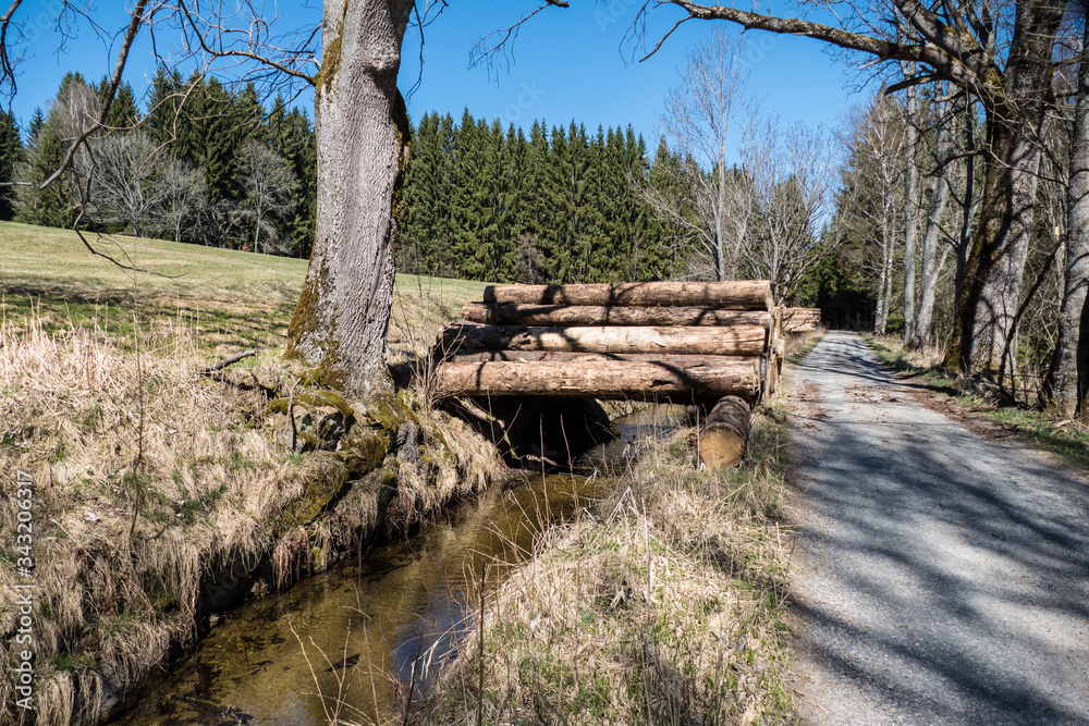 historical Schwarzenberg canal transportatino water way  in Sumava wood