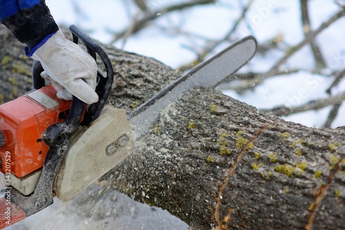 powerful chainsaw professionals
